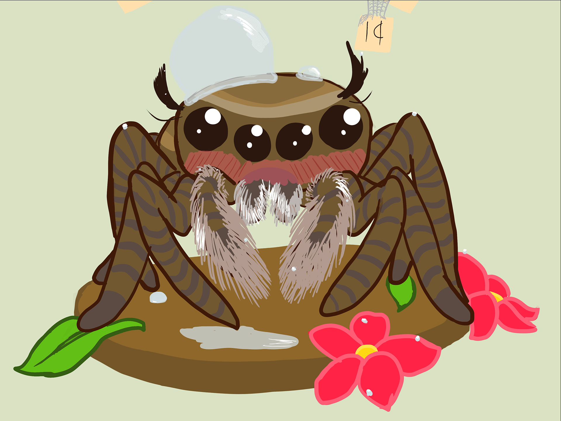 A cropped version of A simple cartoon illustration of a jumping spider on a penny surrounded by flowers and water droplets.